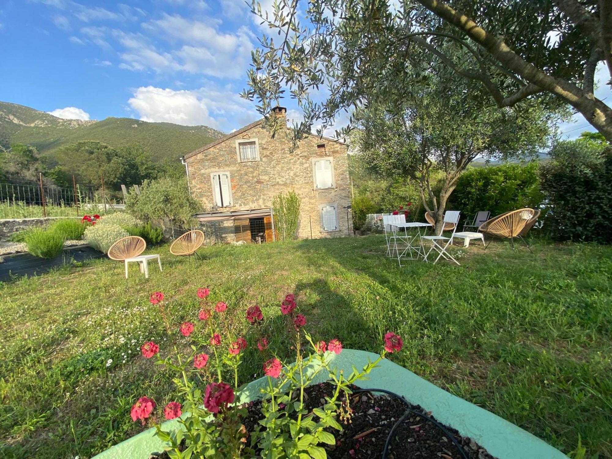 Casa Orani Villa Ponte-Leccia Eksteriør billede